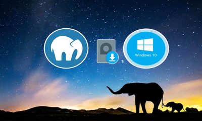 How To Install MAMP On Windows 10