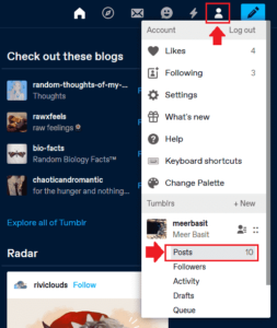 How To Delete A Post On Tumblr | Beginners - Meer's World