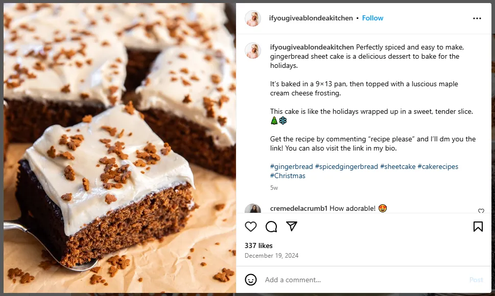 Instagram emphasis on visual content makes it ideal for food bloggers 