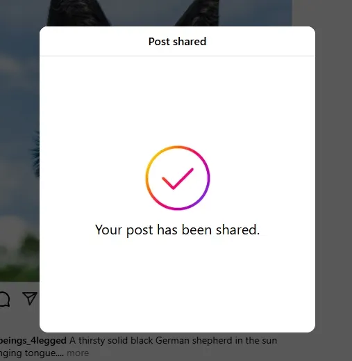 You can see that the post has been shared successfully and the error, "Your Post Could Not be Shared. Please Try Again" has been removed.